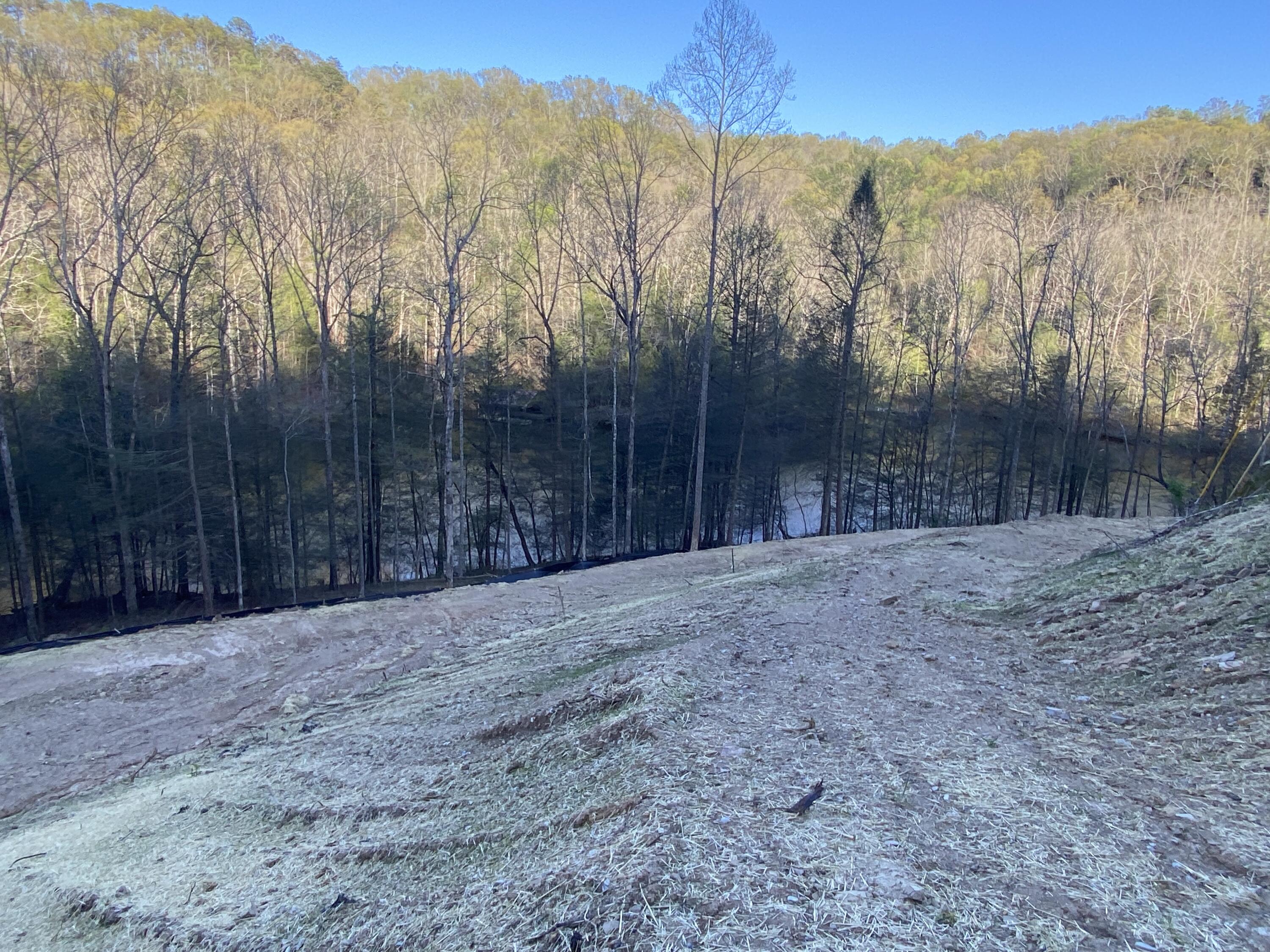 599 Cliffs Edge Road East Bernstadt, KY 40729 - Photo 10 of 10 IMG_4890