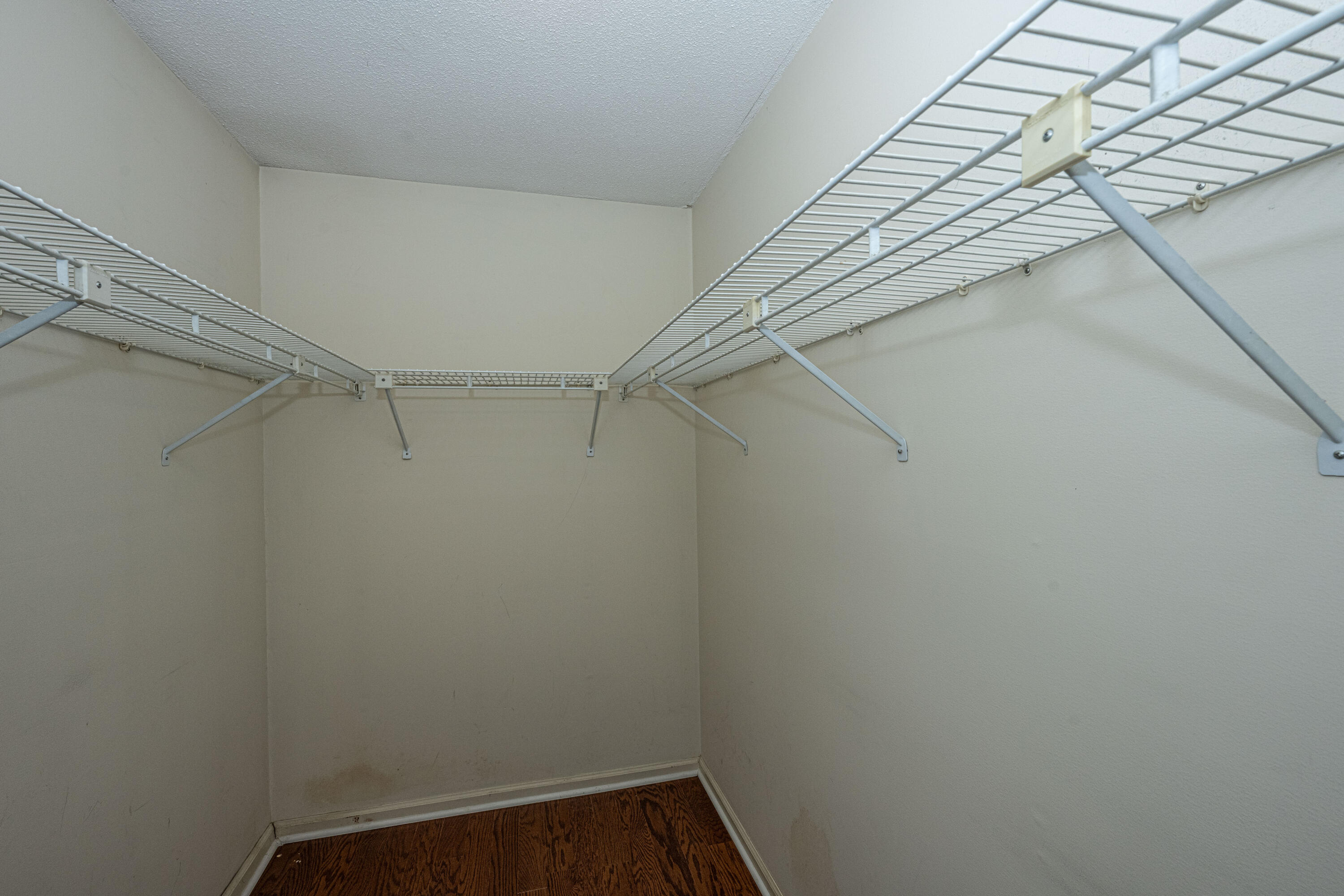 29 Fieldfare Way Charleston, SC 29414 - Photo 17 of 28 Primary closet