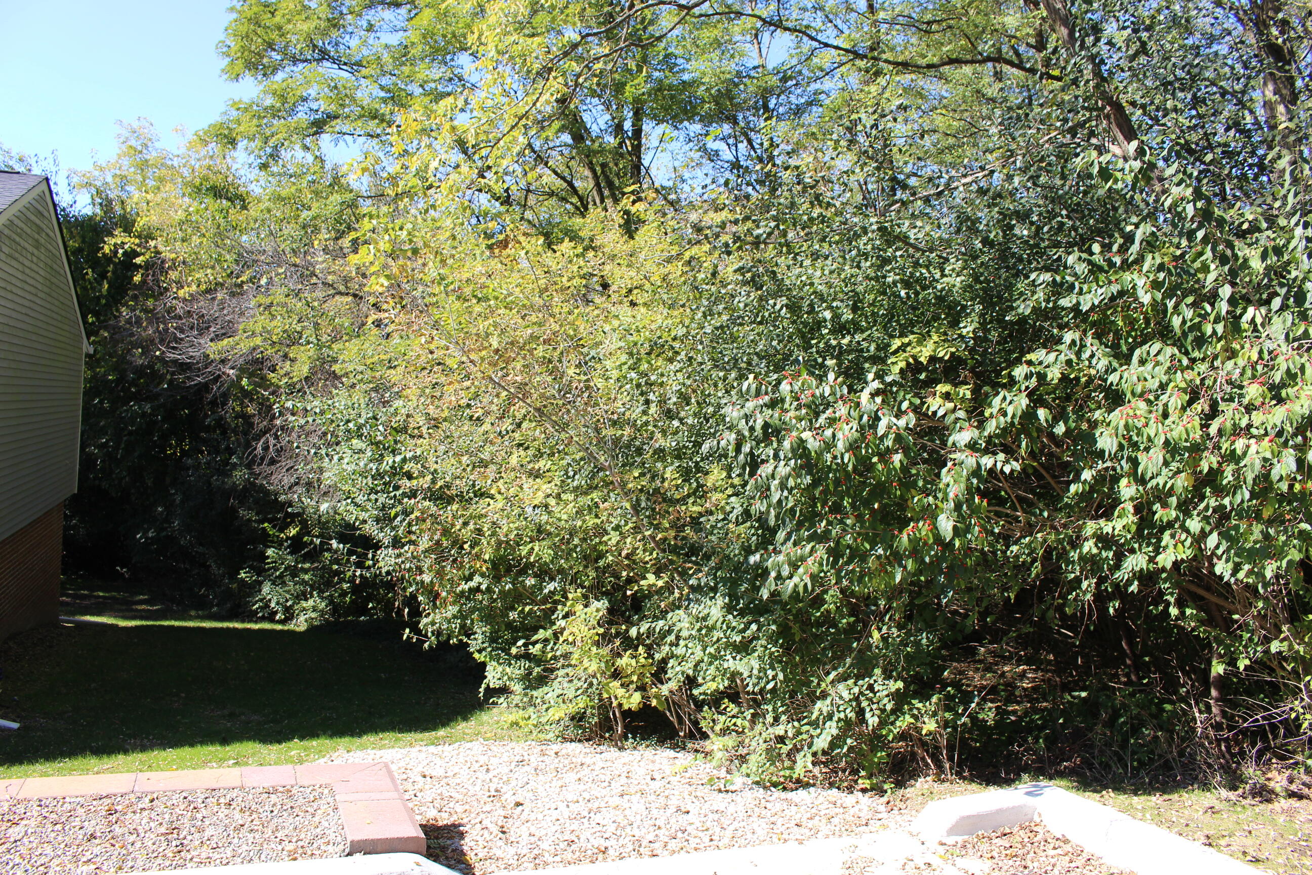 Vacant East Clark Road Ypsilanti, MI 48198 - Photo 11 of 14 IMG_0281