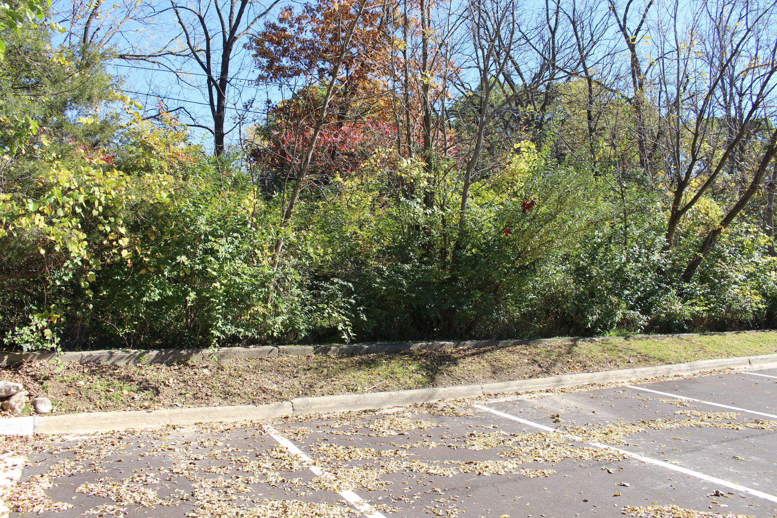 Vacant East Clark Road Ypsilanti, MI 48198 - Photo 13 of 14 IMG_0283