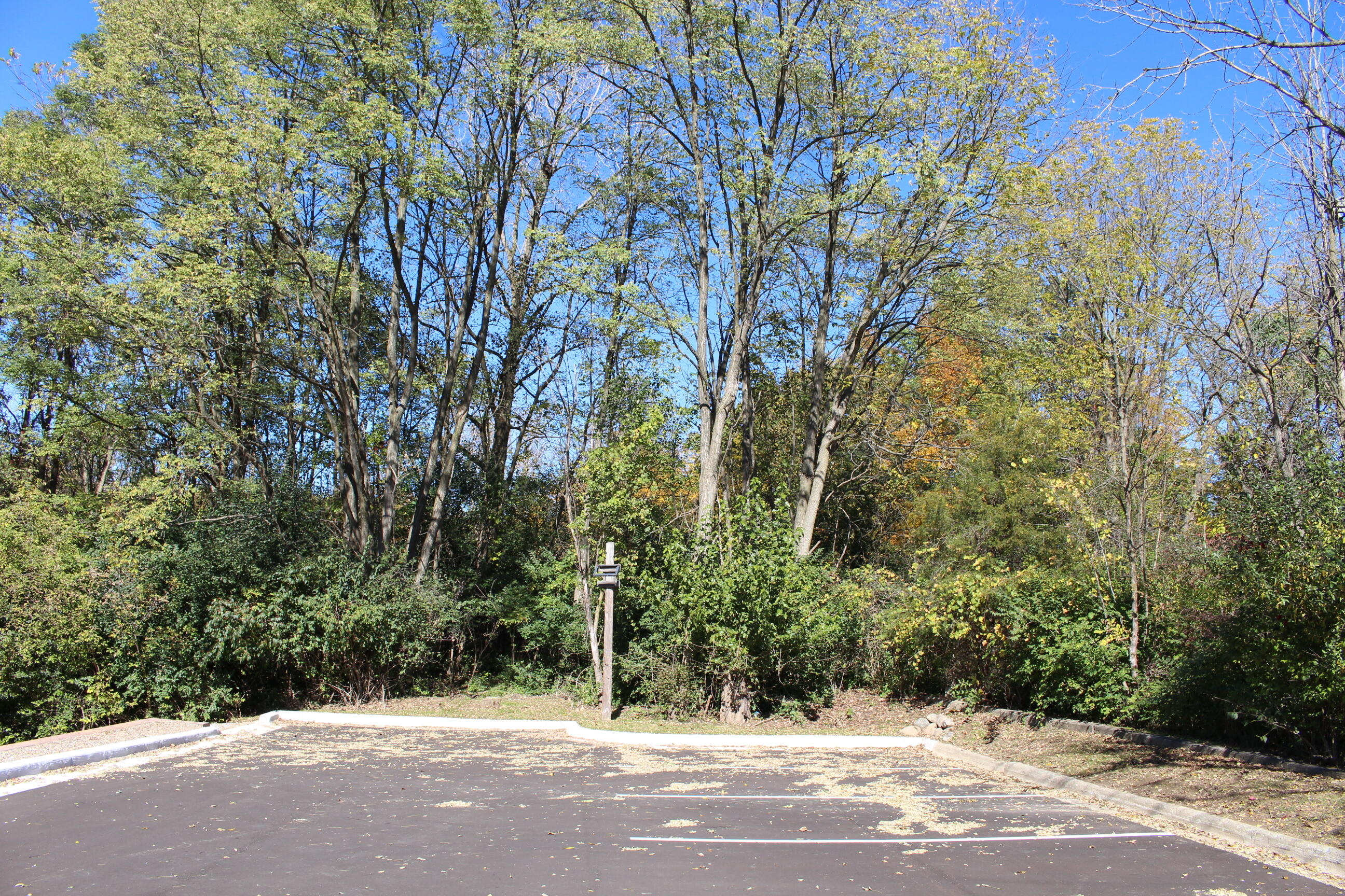 Vacant East Clark Road Ypsilanti, MI 48198 - Photo 6 of 14 IMG_0274