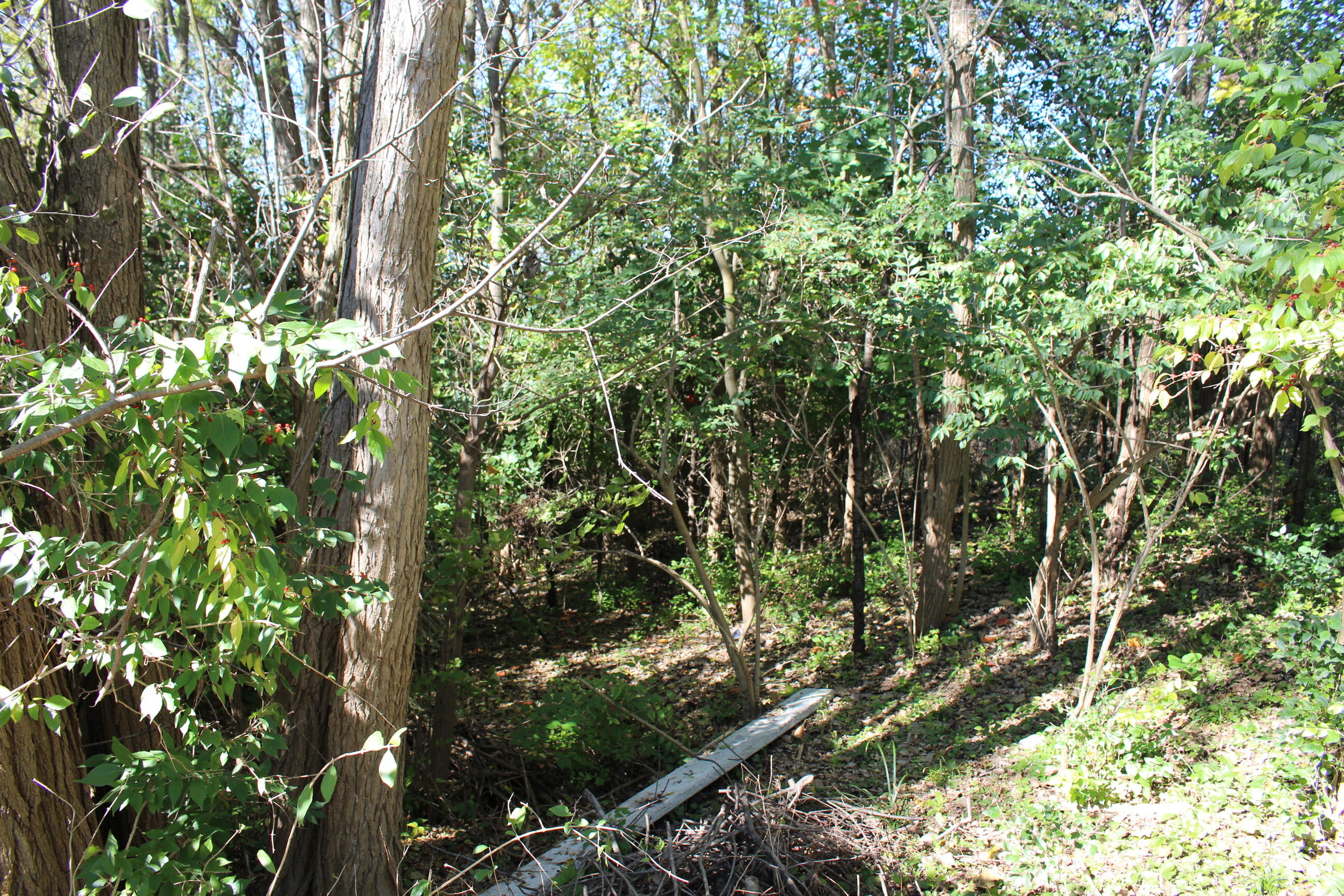 Vacant East Clark Road Ypsilanti, MI 48198 - Photo 8 of 14 IMG_0276