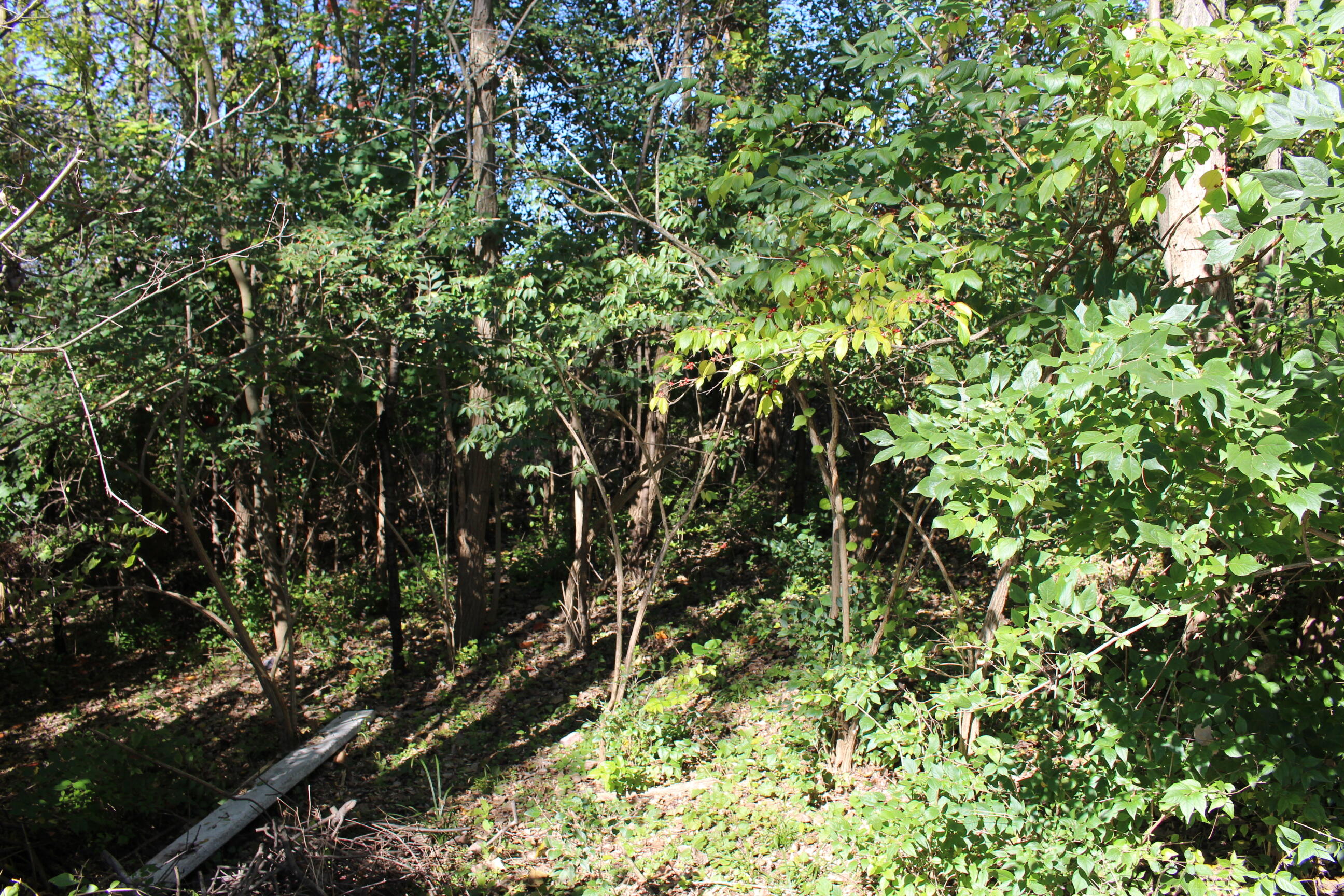Vacant East Clark Road Ypsilanti, MI 48198 - Photo 9 of 14 IMG_0277