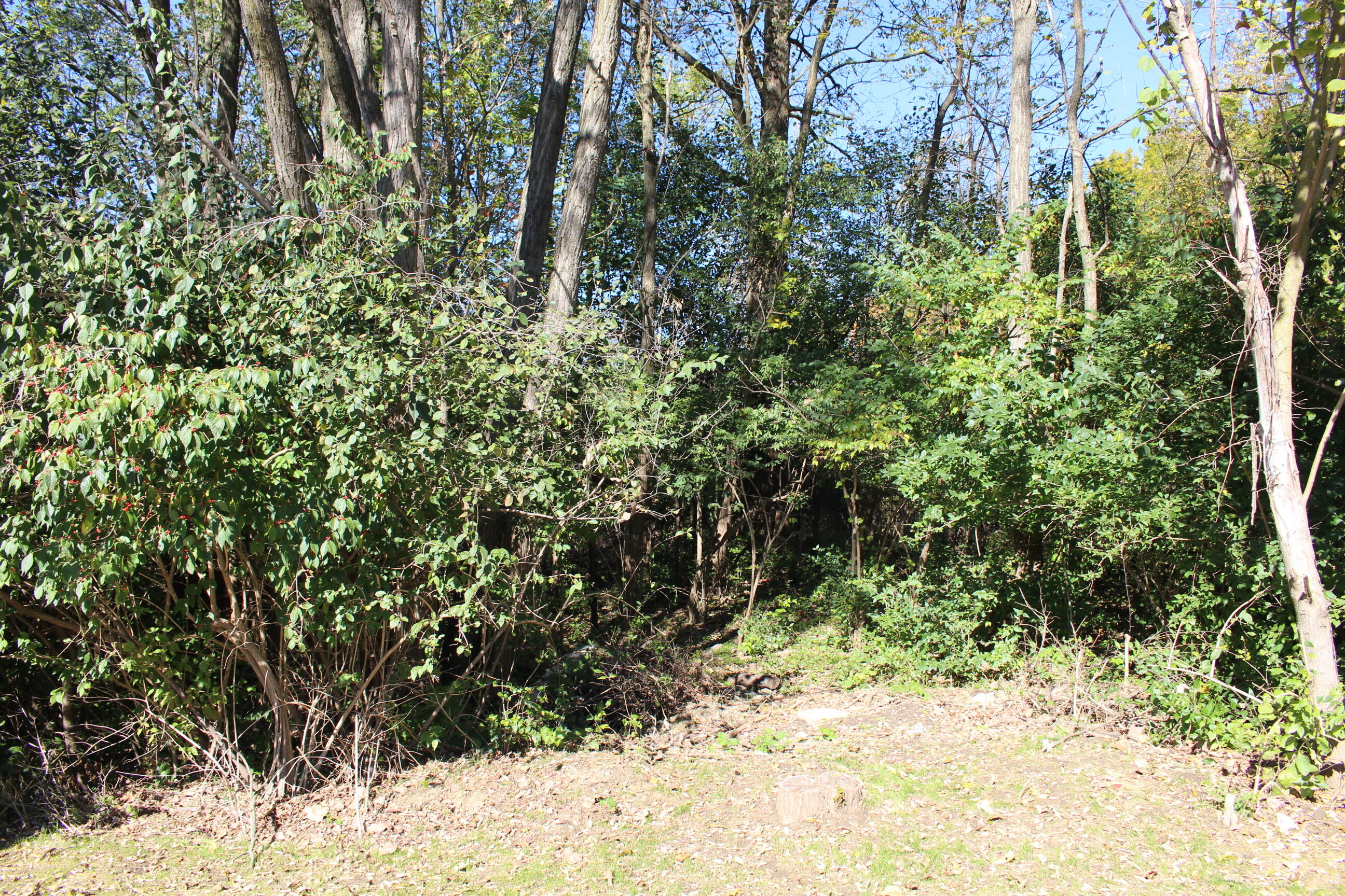 Vacant East Clark Road Ypsilanti, MI 48198 - Photo 10 of 14 IMG_0280