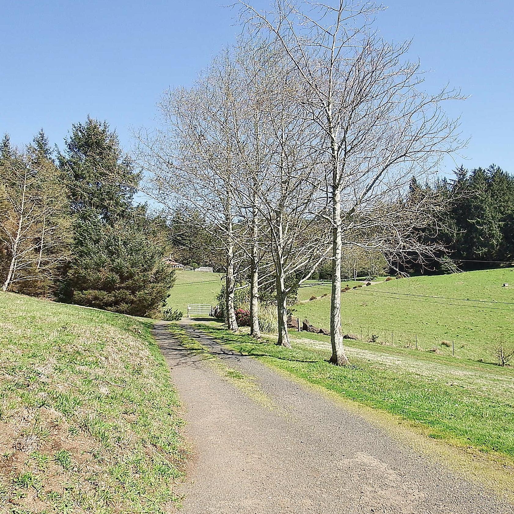 6205 Scherzinger Road Neskowin, OR 97149 - Photo 82 of 88 Driveway