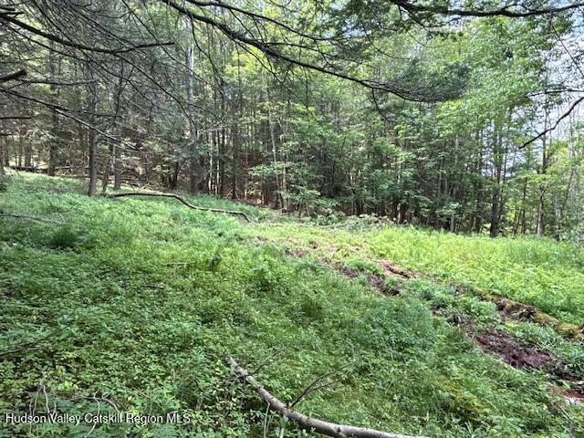 Tbd Tbd Valley View Road Prattsville, NY 12468 - Photo 16 of 19 a view of outdoor space and yard