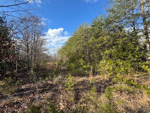 Tolers Ferry Road, Unit 1 Huddleston, VA 24104 - Photo 1 of 8 Gallery Image 1