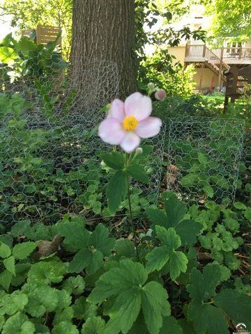 $489,900 | 2109 Riviera Drive, Lawrence, KS 66047