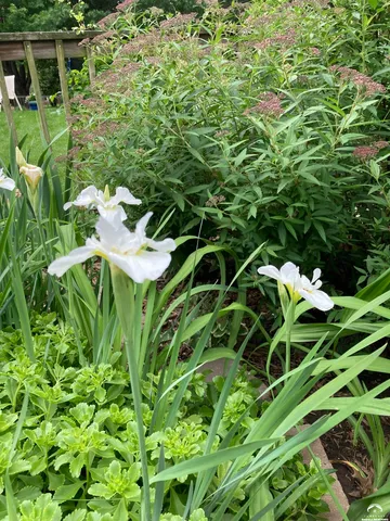 $489,900 | 2109 Riviera Drive, Lawrence, KS 66047