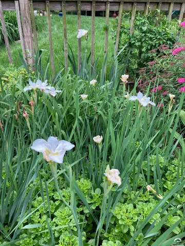 $489,900 | 2109 Riviera Drive, Lawrence, KS 66047