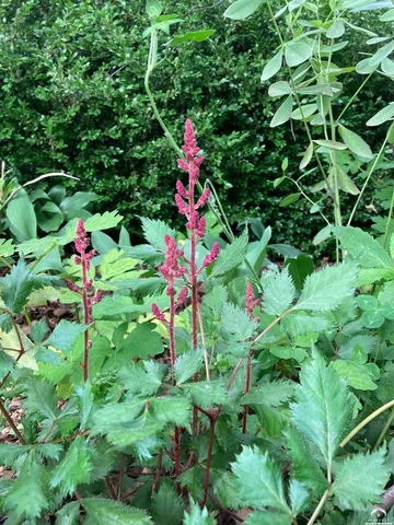 $489,900 | 2109 Riviera Drive, Lawrence, KS 66047