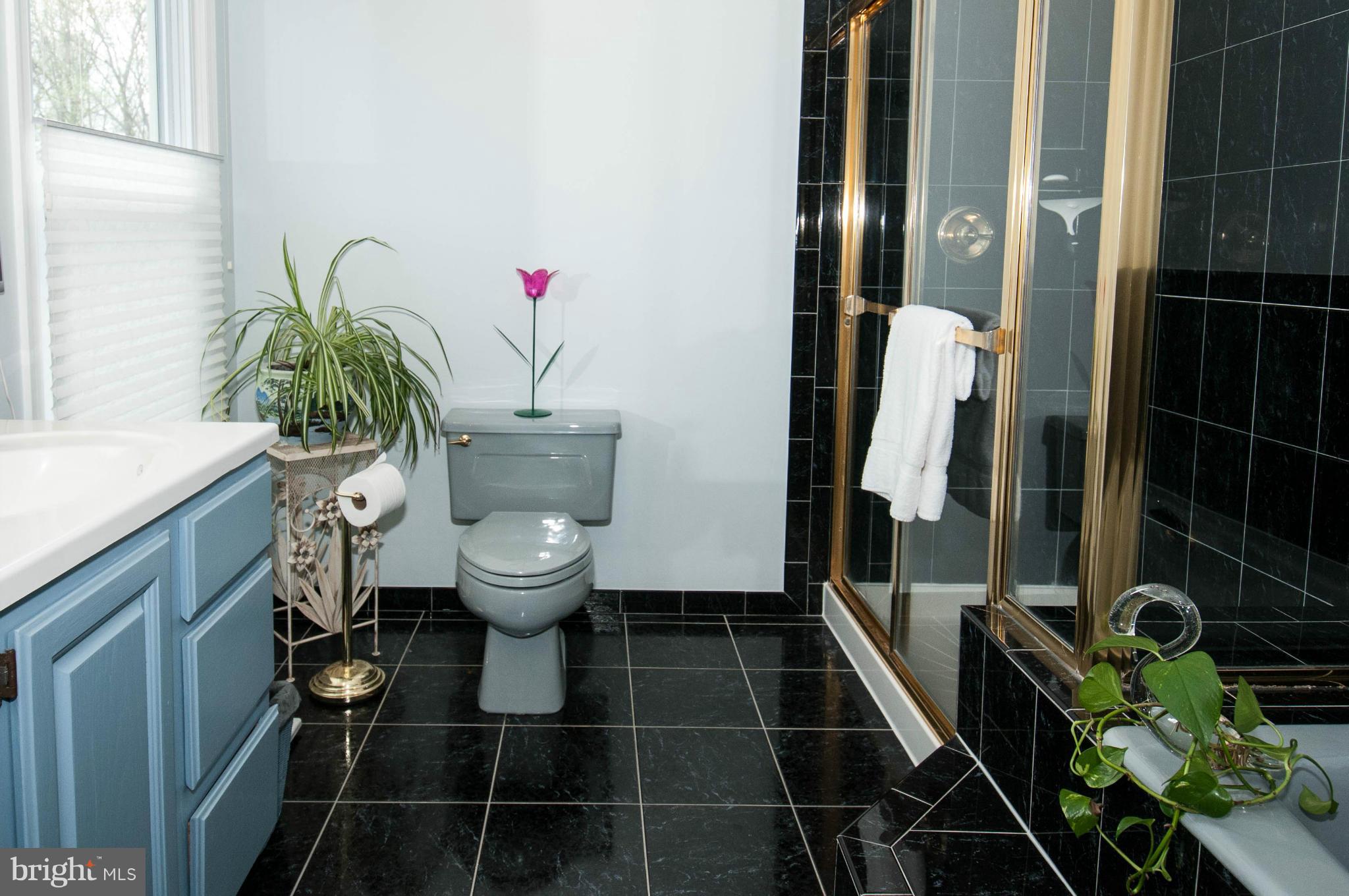 11662 Havenner Road Fairfax Station, VA 22039 - Photo 21 of 30 a bathroom with a toilet and a shower