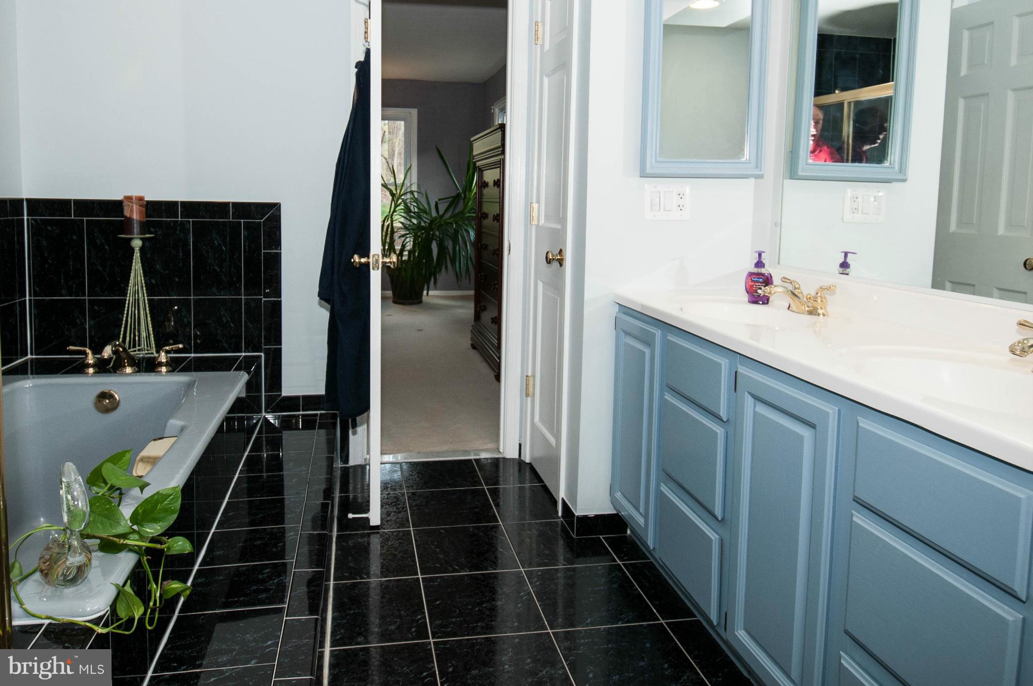 11662 Havenner Road Fairfax Station, VA 22039 - Photo 22 of 30 a bathroom with a shower