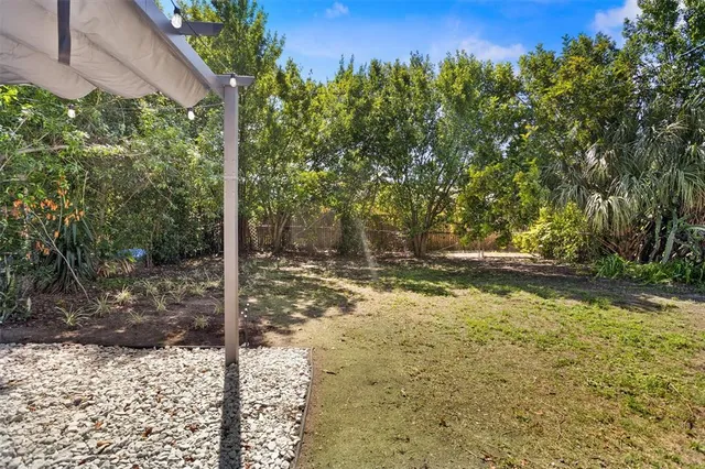 a view of a tree with a yard