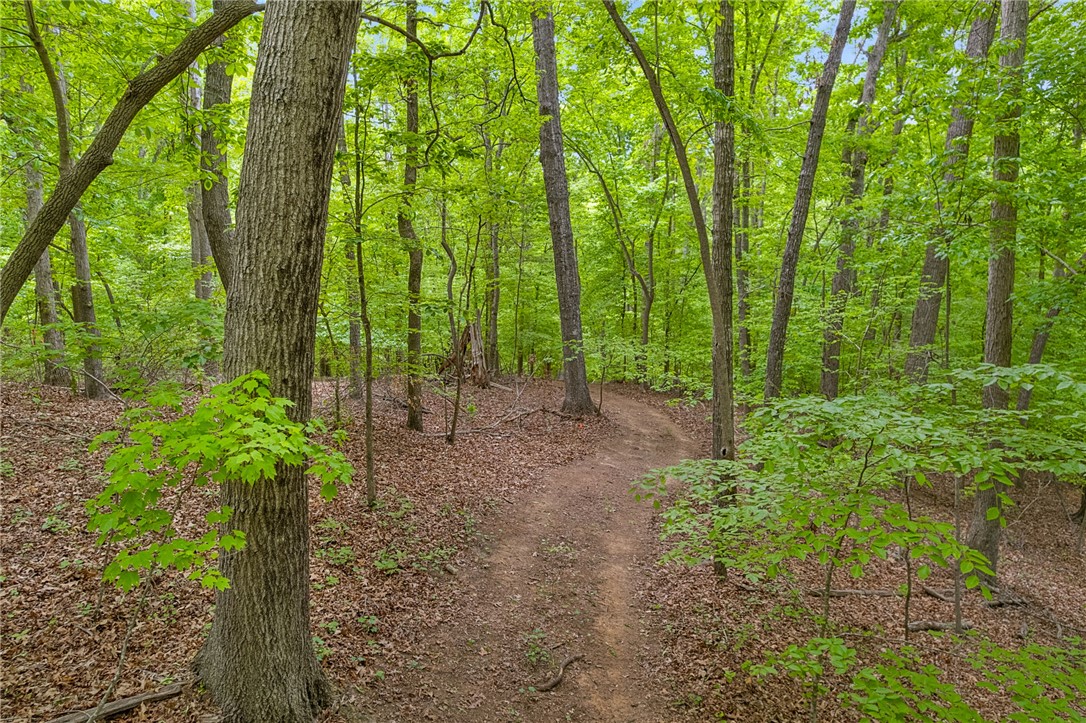 5 Shelor Ferry Road Fair Play, SC 29643 - Photo 12 of 17 Walking Trail – Peaceful wooded trail winding through the property, offering a natural setting ideal for exploring or creating your own path down to the lake.