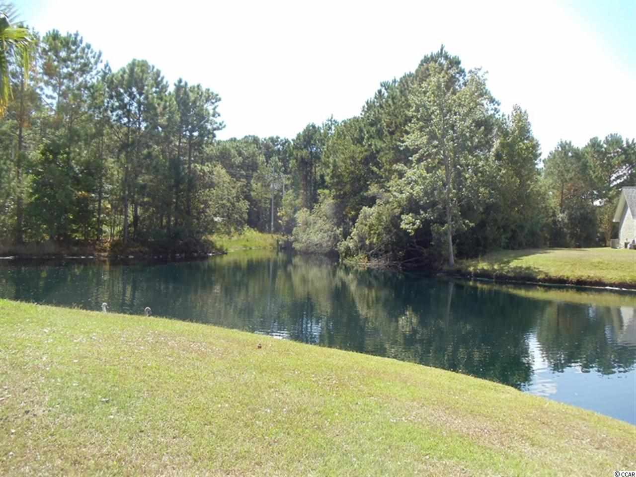Lot 7 Santee River Road Myrtle Beach, SC 29588 - Photo 3 of 11 Gallery Image 3