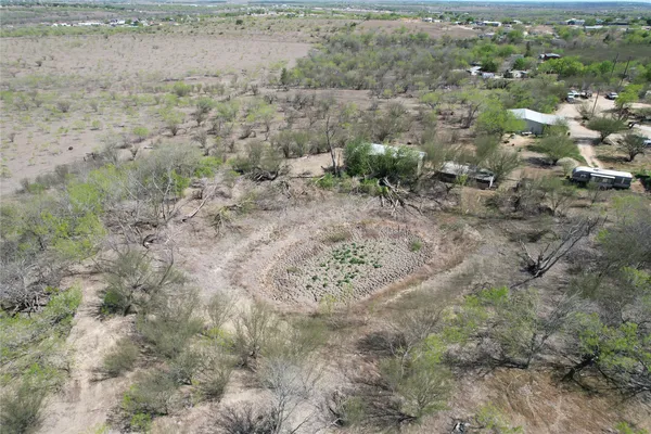 a view of a yard with lots of trees