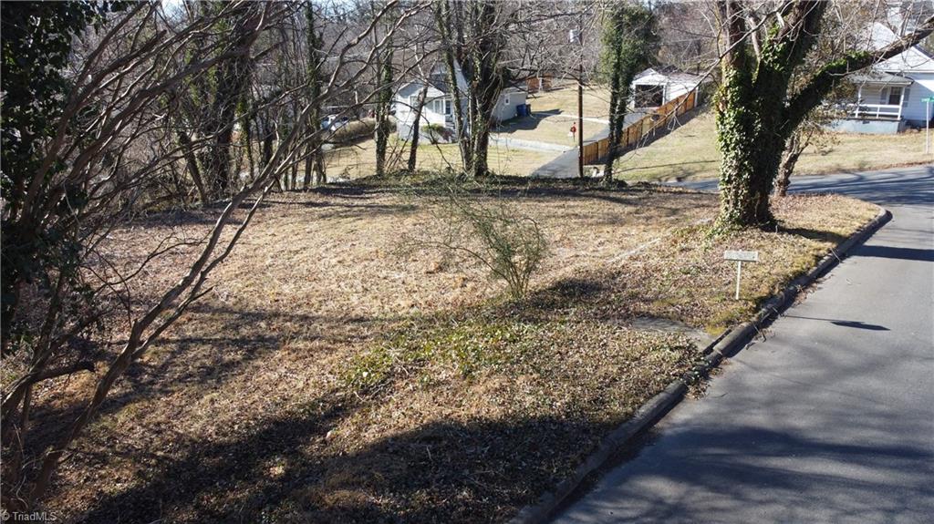 49-ac Linville Road Mount Airy, NC 27030 - Photo 11 of 13