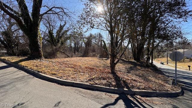 49-ac Linville Road Mount Airy, NC 27030 - Photo 7 of 13