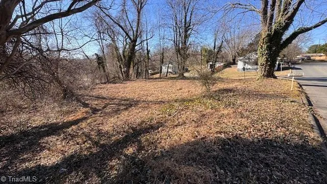 $29,500 | 49-ac Linville Road, Mount Airy, NC 27030
