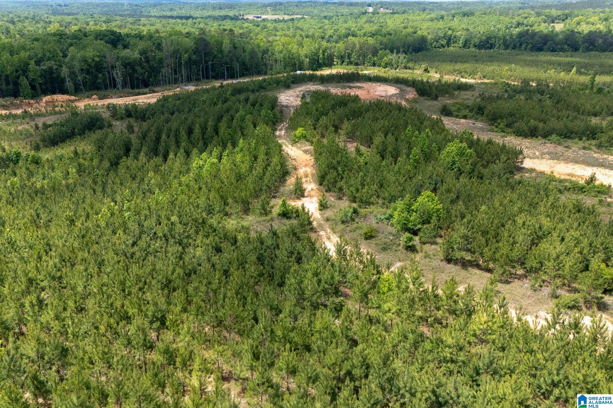 16 County Road Maplesville, AL 36750 - Photo 19 of 26