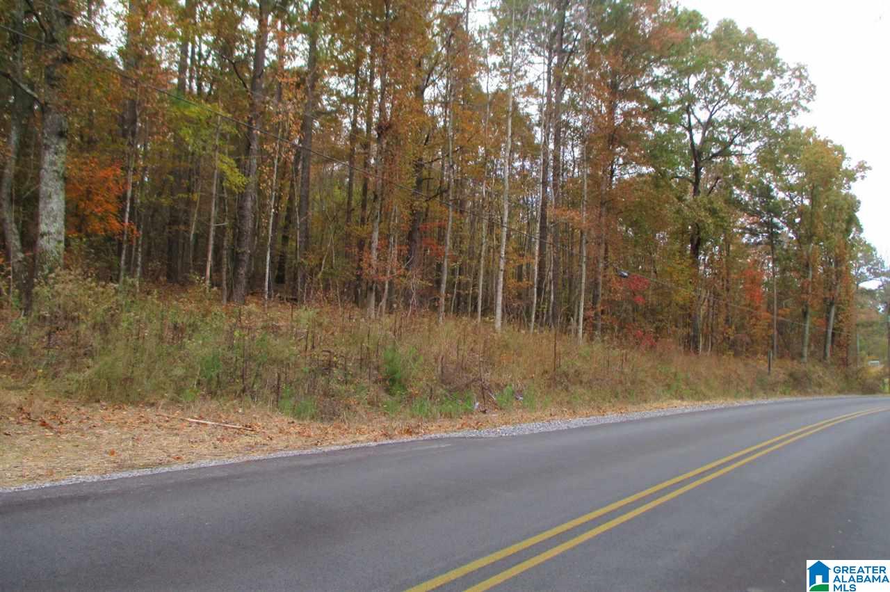 36 Highway Oneonta Al Oneonta, AL 35121 - Photo 2 of 4