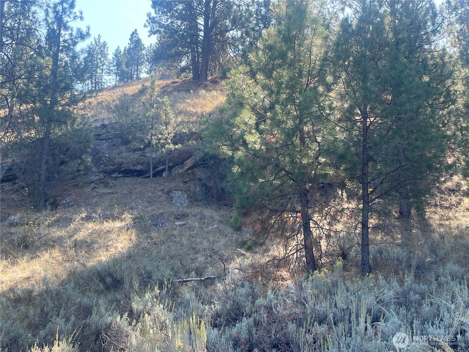 -tbd Reevas Basin Road Tonasket, WA 98855 - Photo 26 of 38