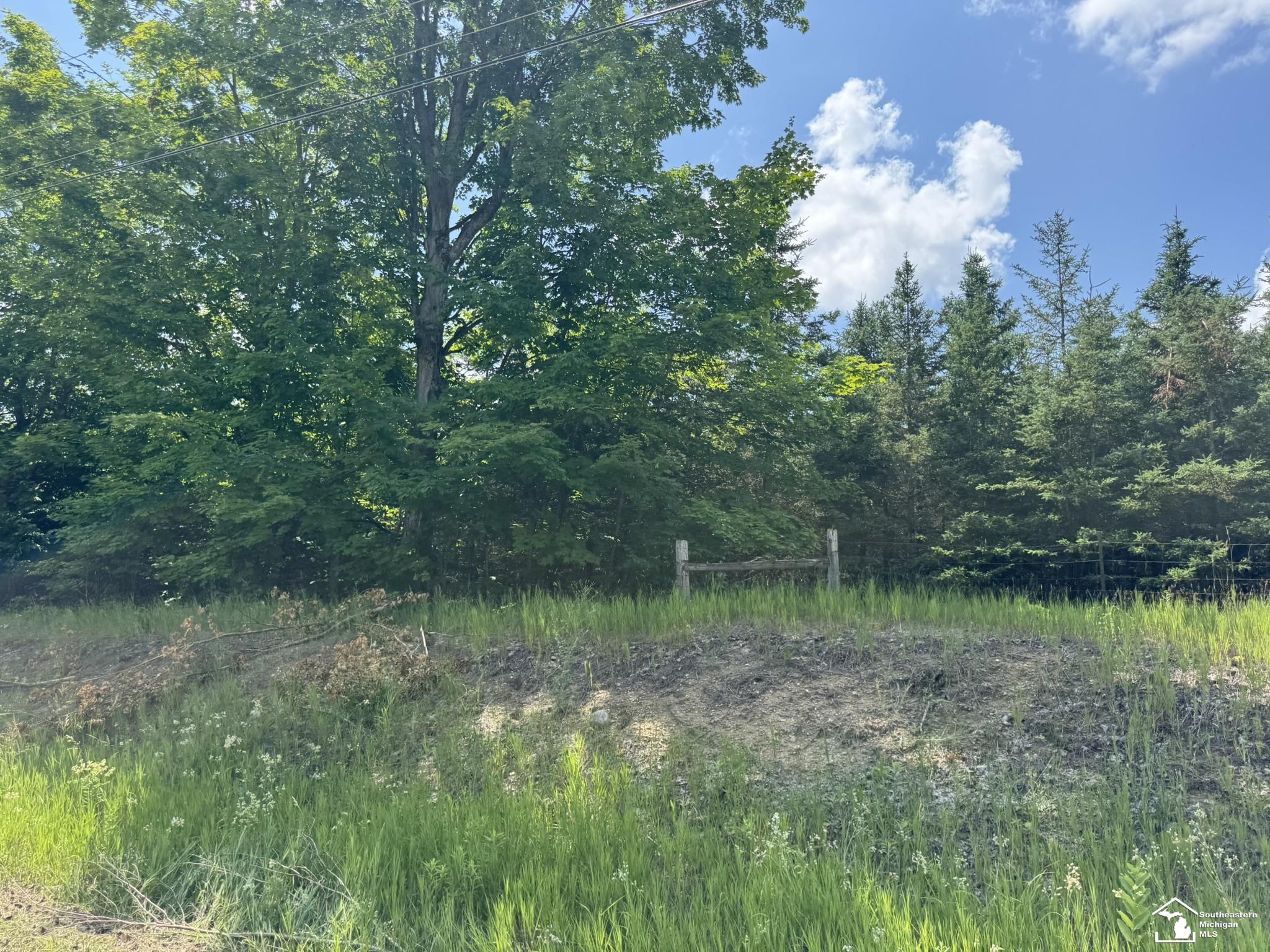 0 Hayes Tower Road Gaylord, MI 49735 - Photo 1 of 14