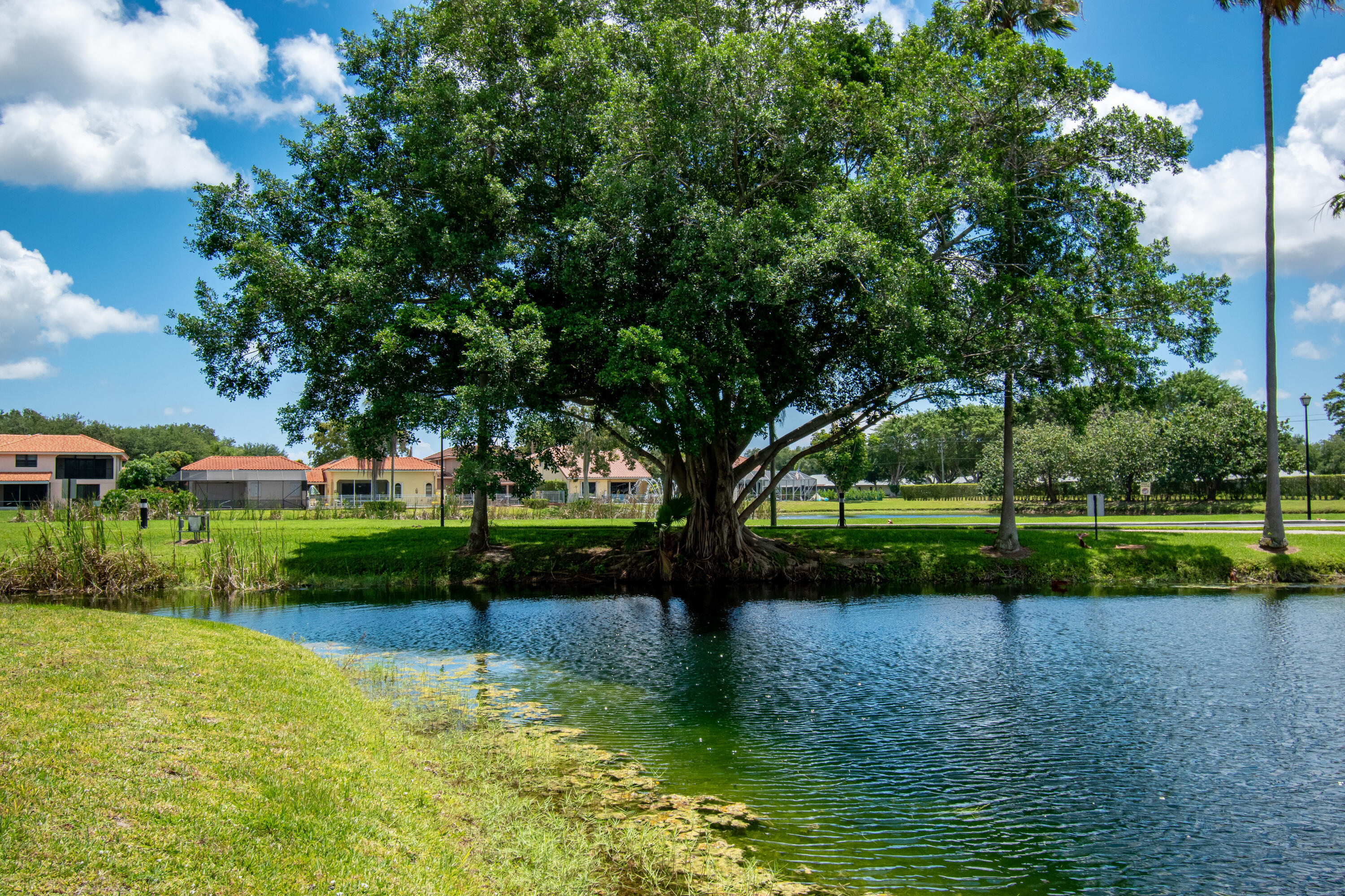 9708 Erica Court Boca Raton, FL 33496 - Photo 49 of 54 a view of a park with large trees