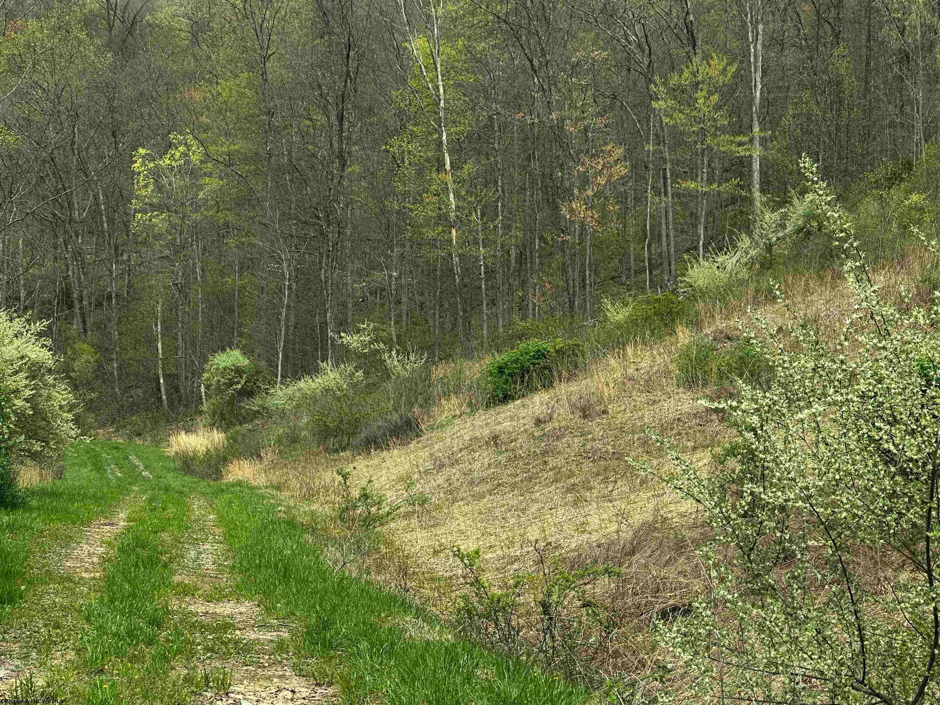 709 Tarkiln Road West Union, WV 26456 - Photo 26 of 29 Gallery Image 26