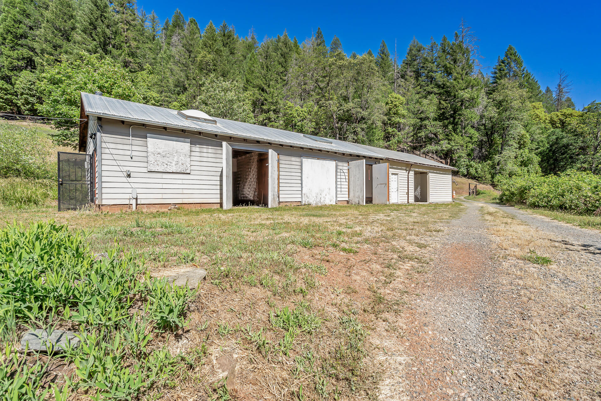 351 B-Bar-K Road Douglas City, CA 96024 - Photo 4 of 77 351BBarKRanchRoad-20