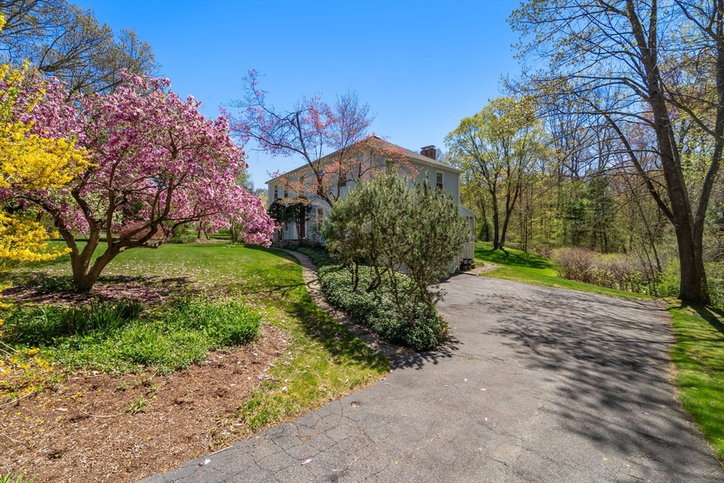 16 Parmenter Road Framingham, MA 01701 - Photo 27 of 34 a view of a road with plants and large trees