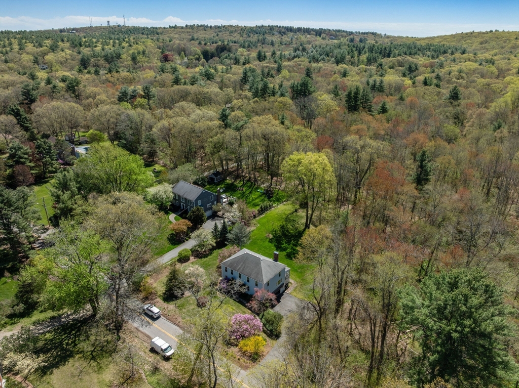 16 Parmenter Road Framingham, MA 01701 - Photo 32 of 34 an aerial view of a forest with houses