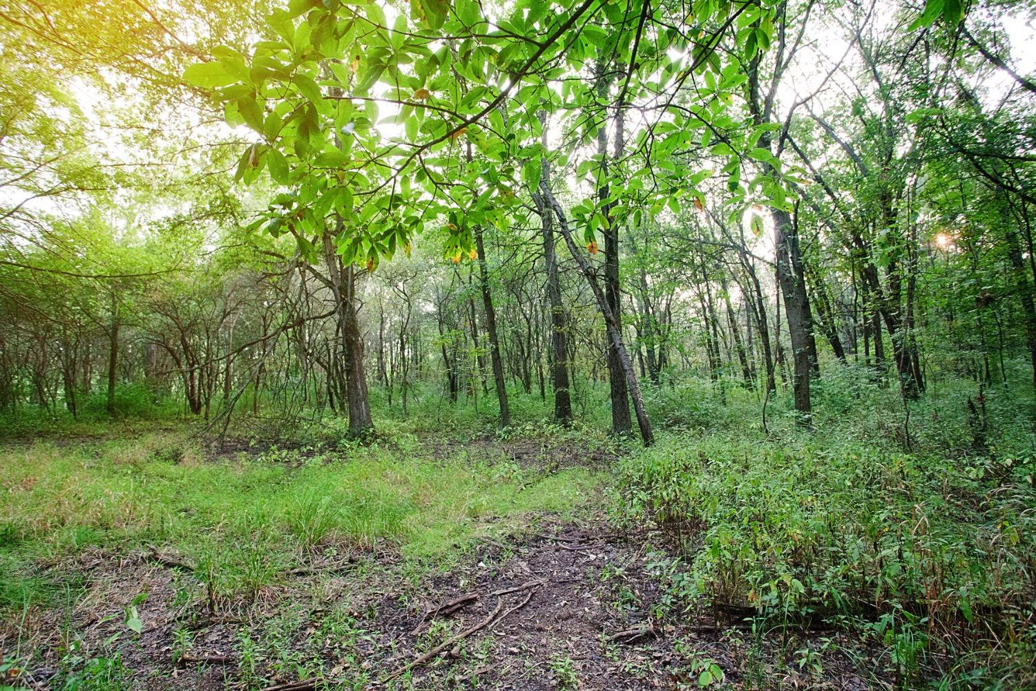 4290-lot 30 Willard Ln