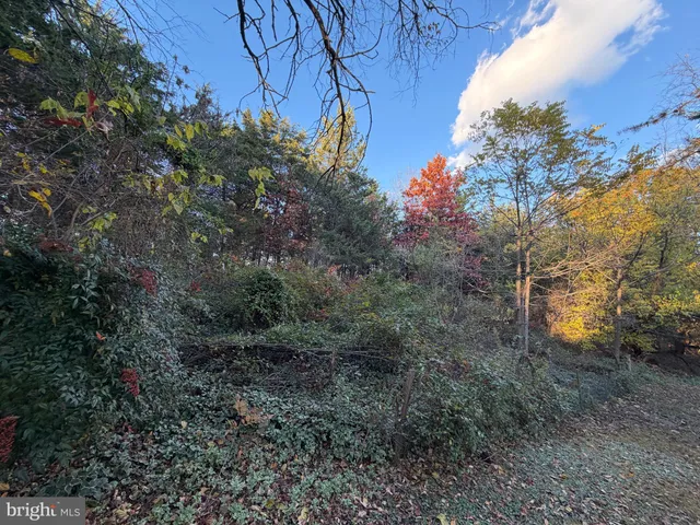 $430,000 | 133 Cardinal Lane, Winchester, VA 22602