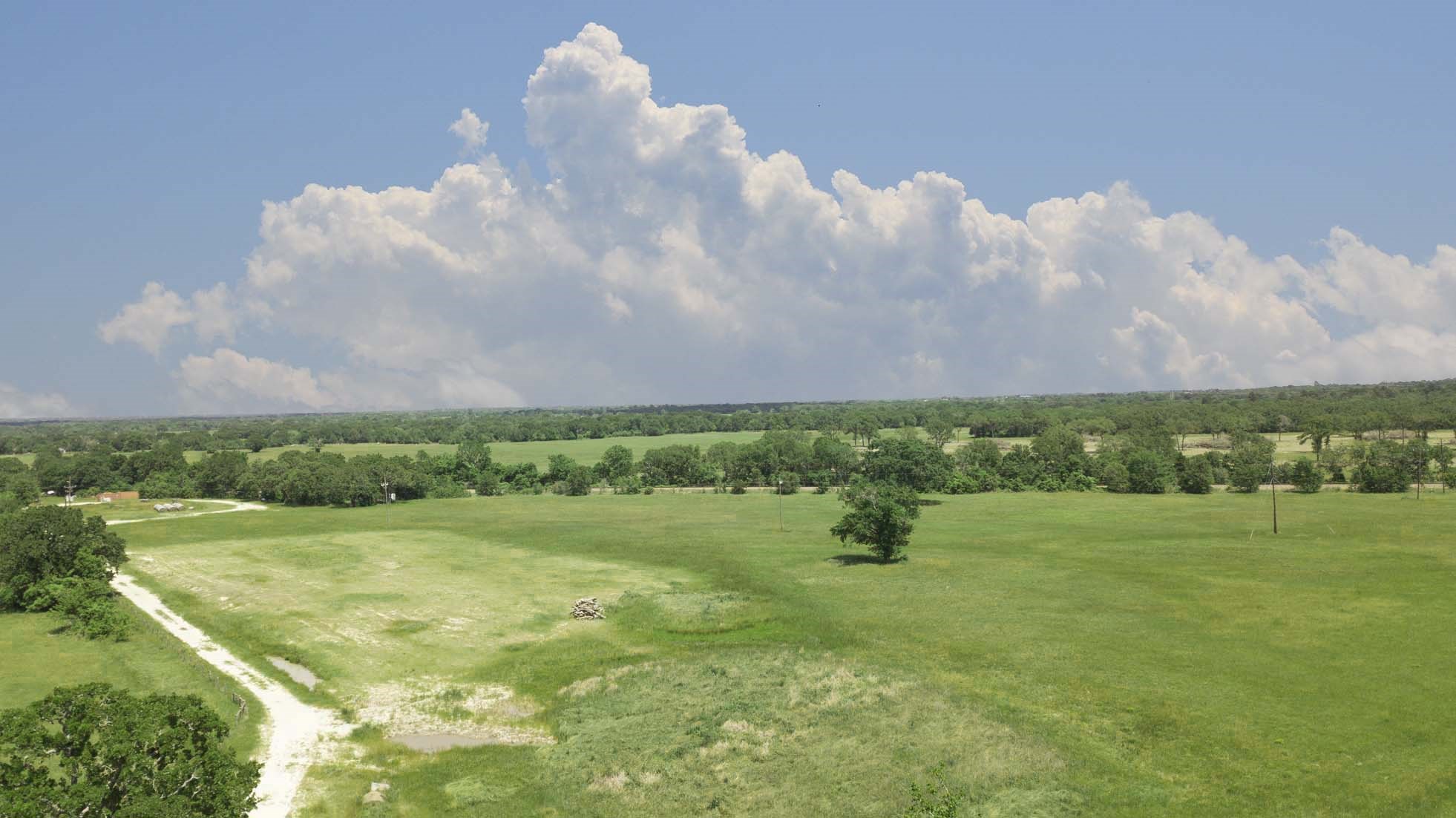 15130 Fm 39 Road Bedias, TX 77831 - Photo 12 of 26
