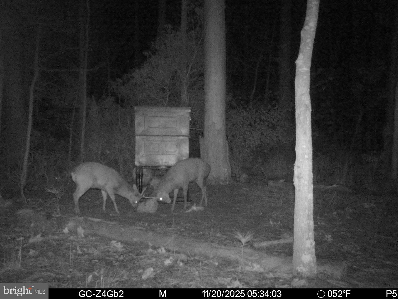 2716 Wesley Church Road Crapo, MD 21626 - Photo 31 of 33 Gallery Image 31