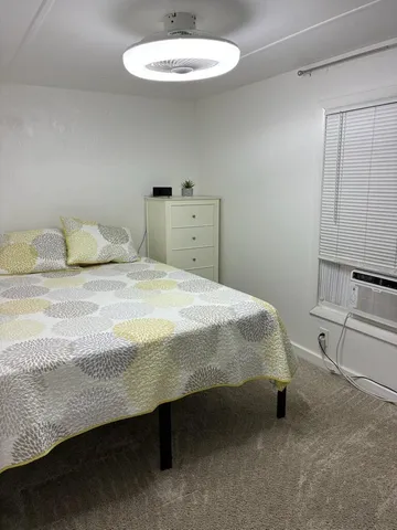 a view of a backyard with plants