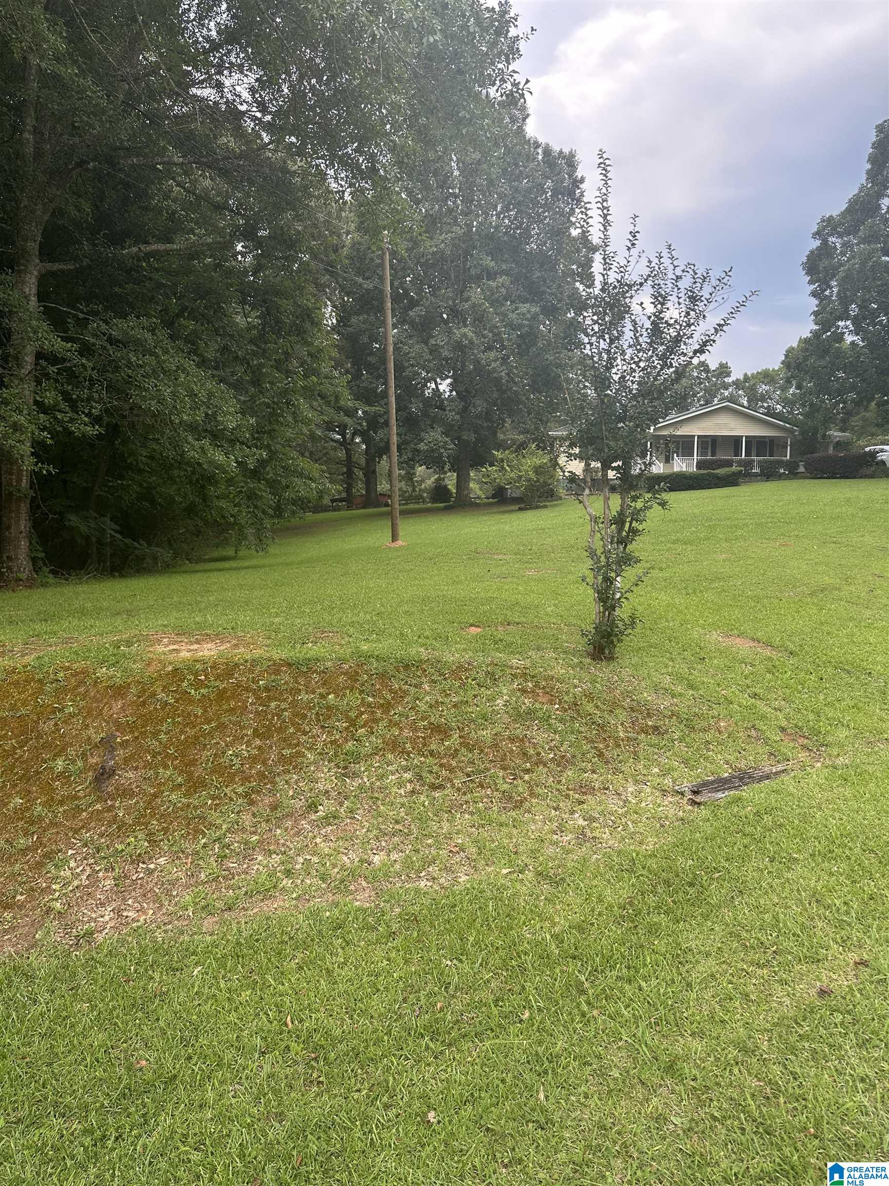 787 New County Line Road Sylacauga, AL 35151 - Photo 12 of 38