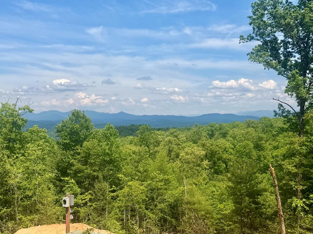 50 Lake Wood Road Murphy, NC 28906 - Photo 1 of 10 Main View