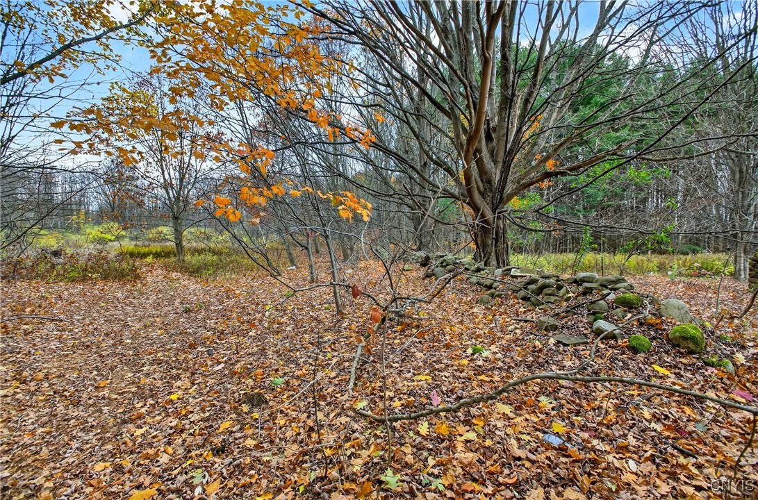 241 Rathburn Road Granby, NY 13069 - Photo 5 of 36