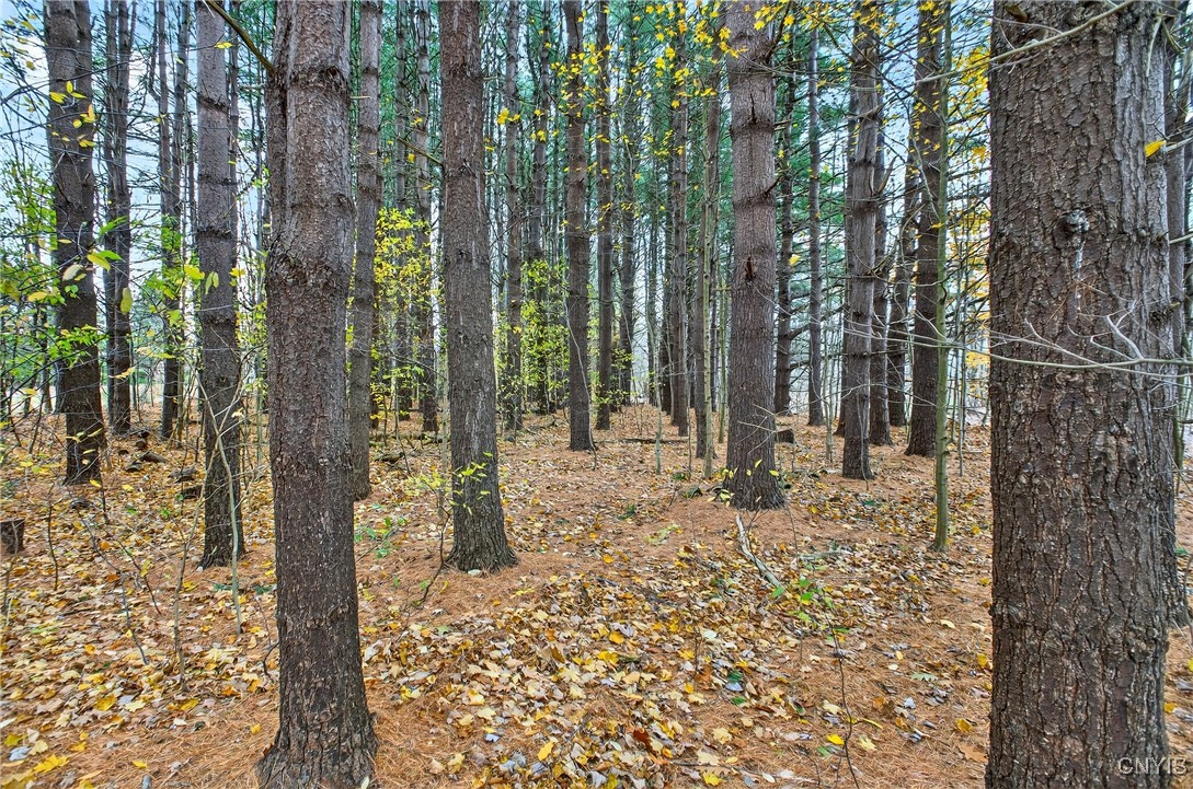 241 Rathburn Road Granby, NY 13069 - Photo 6 of 36