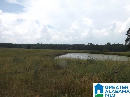0 Highway 24 Oneonta Al Oneonta, AL 35121 - Photo 25 of 27