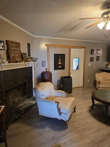 a living room with furniture and a fireplace