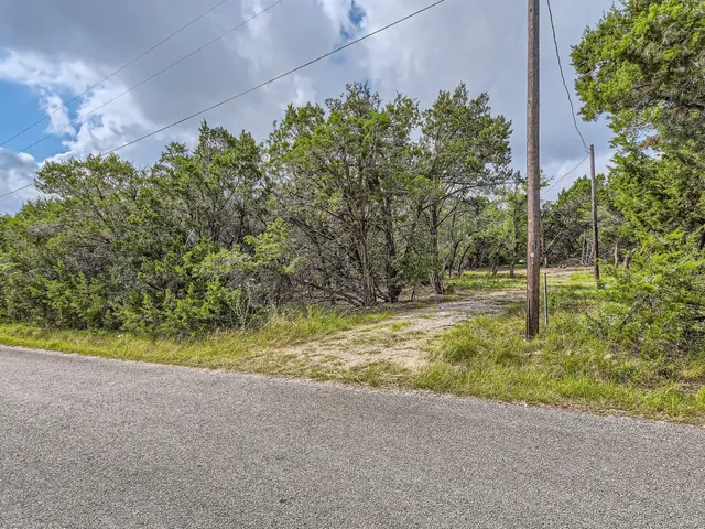 a view of backyard with tree