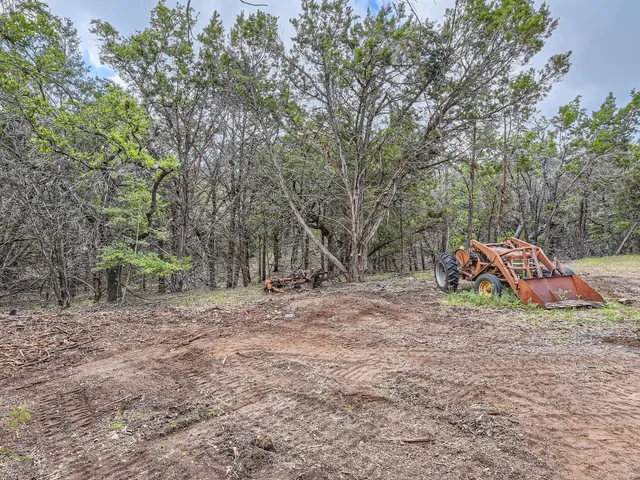a view of a yard with plants and trees