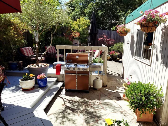 a view of a patio with table and chairs potted plants and a large tree
