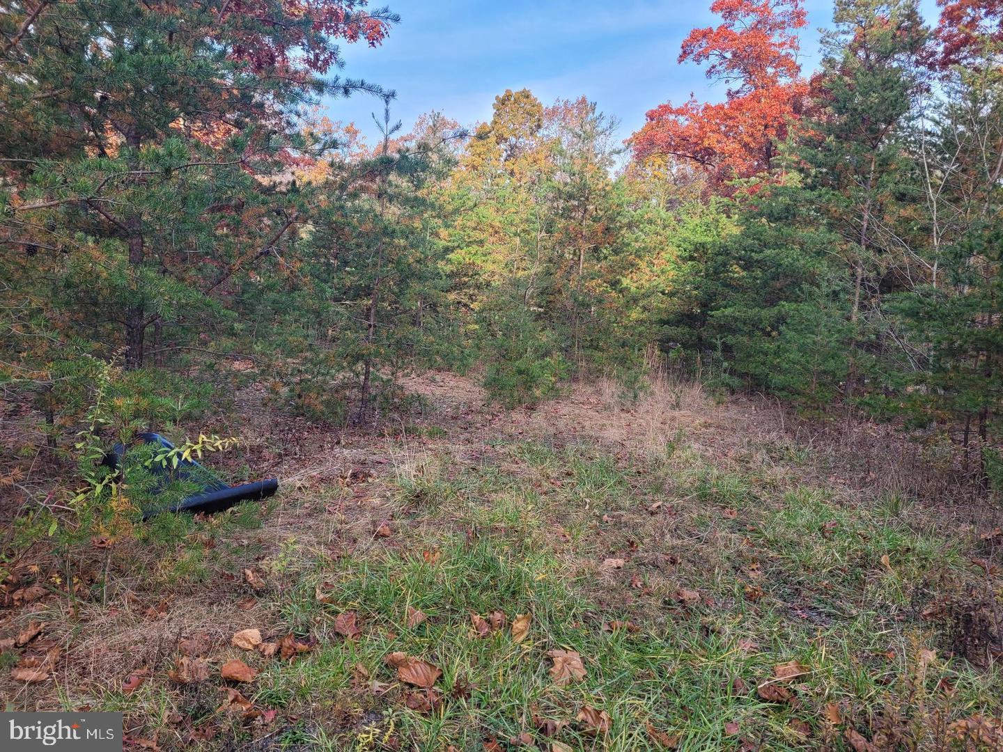 Lot 26 Park Road Bloomery, WV 26817 - Photo 2 of 8
