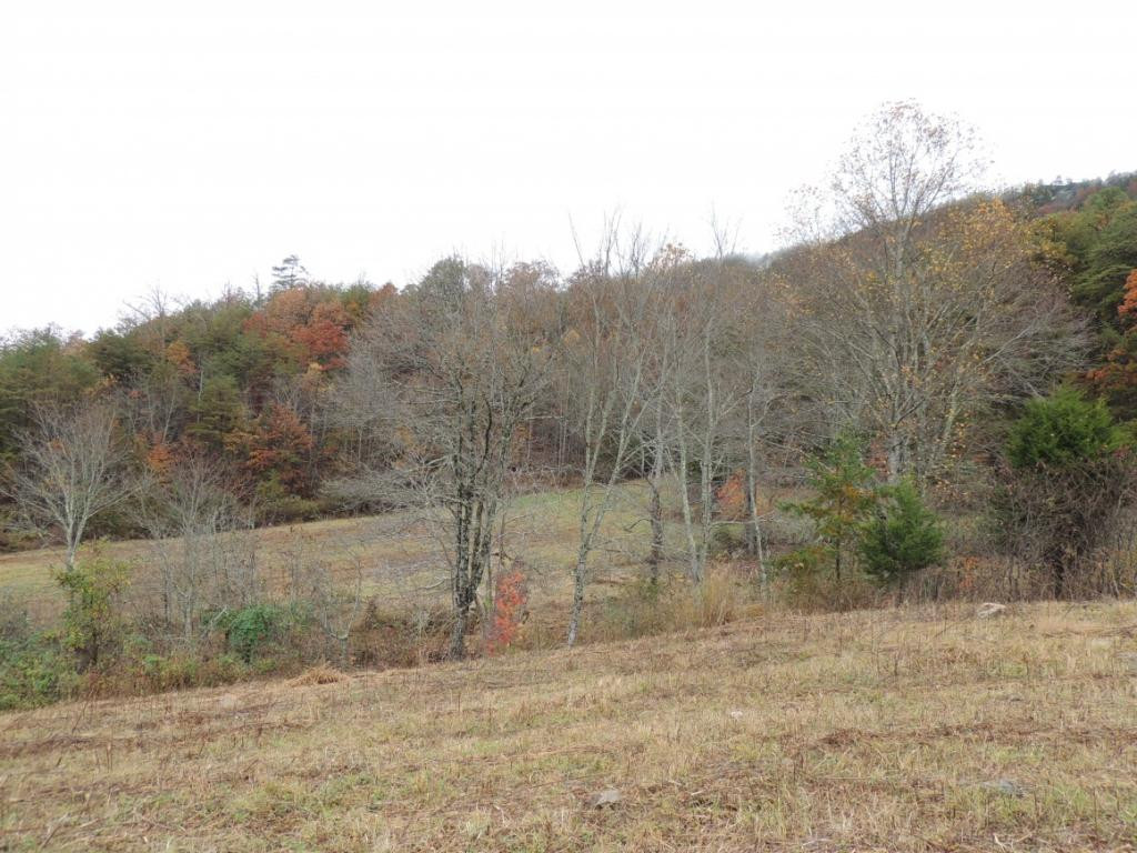 531 Frost Road Surgoinsville, TN 37873 - Photo 12 of 15 Photo 12