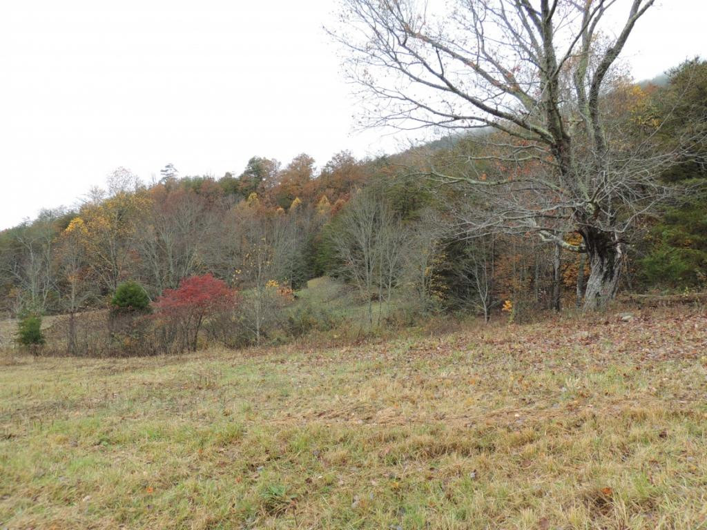 531 Frost Road Surgoinsville, TN 37873 - Photo 5 of 15 Photo 5